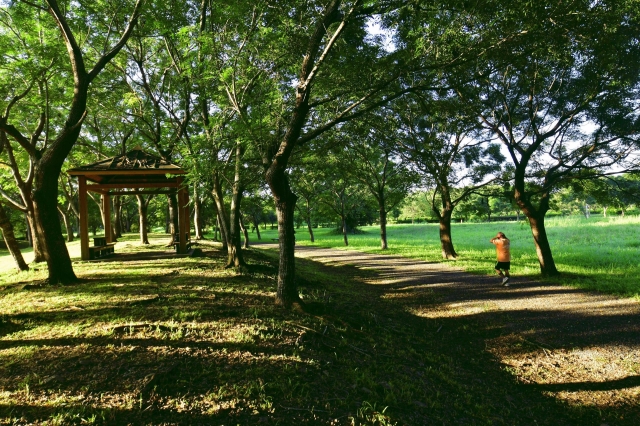 127-田園步道之美-67-2025大潮藝文市集系列活動~潮州之美攝影比賽人氣獎票選活動