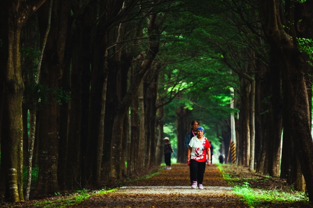 135-林後四林的午後散步-71-2025大潮藝文市集系列活動~潮州之美攝影比賽人氣獎票選活動