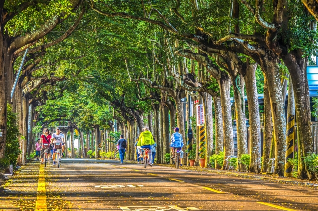138-活力綠色隧道-73-2025大潮藝文市集系列活動~潮州之美攝影比賽人氣獎票選活動