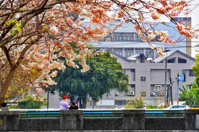 143-相約花旗木下-76-2025大潮藝文市集系列活動~潮州之美攝影比賽人氣獎票選活動