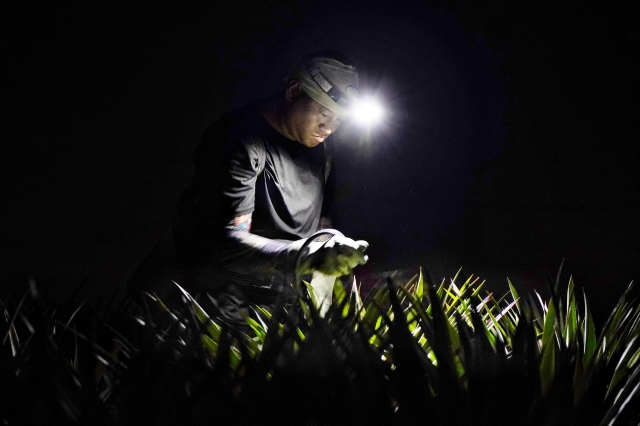 144-夜晚的一盞明燈-76-2025大潮藝文市集系列活動~潮州之美攝影比賽人氣獎票選活動