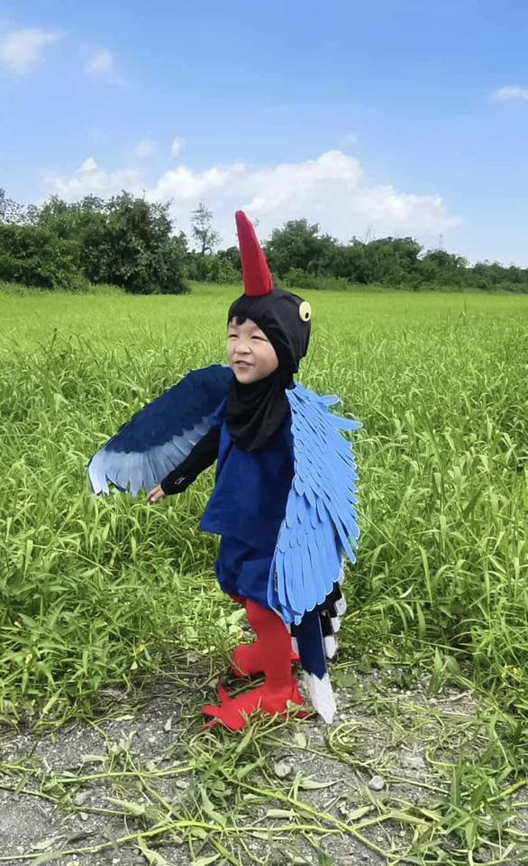 台灣藍鵲先生（翅膀、嘴喙、尾巴為紙箱創作）-「紙箱變裝大賽」人氣王投票