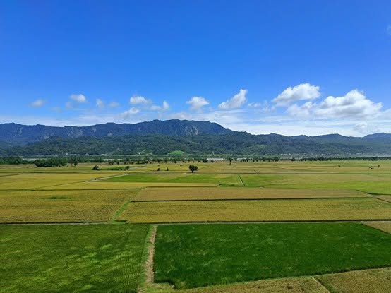 【到台東看海去】TPASS的超值山海之旅-2026「用TPASS玩轉臺東」第二屆創意影音／圖文徵件比賽
