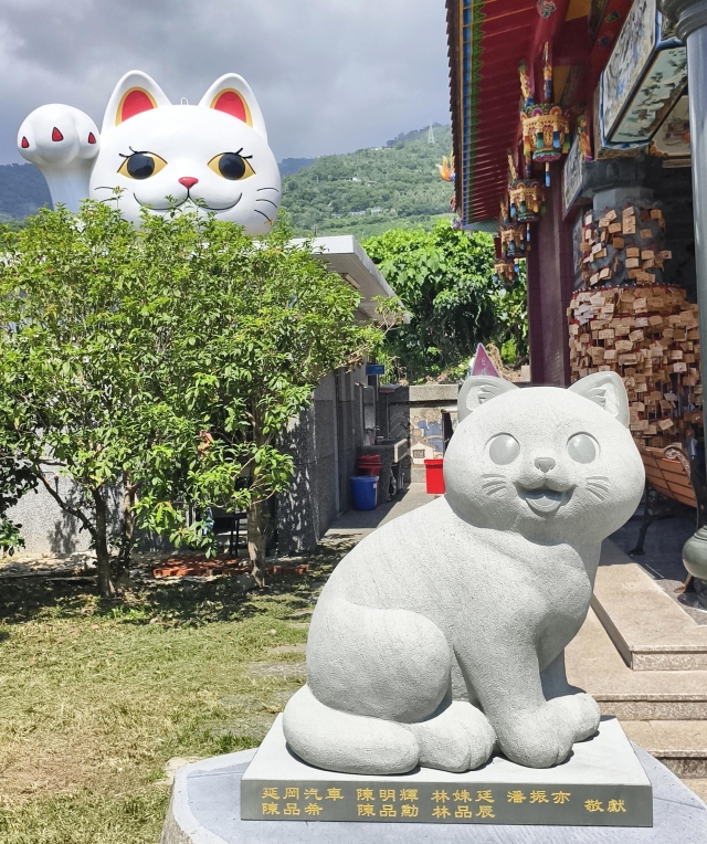 太麻里金崙一日遊-2026「用TPASS玩轉臺東」第二屆創意影音／圖文徵件比賽