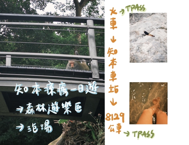 TPASS玩臺東-2026「用TPASS玩轉臺東」第二屆創意影音／圖文徵件比賽