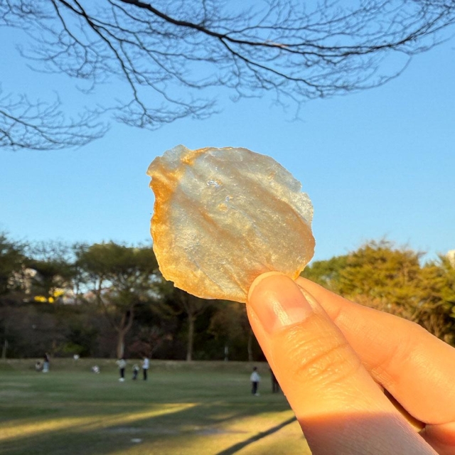 創05-3 雞肉洋芋片-2026 臺中市政府青年創業品牌推廣計畫-十大新創之星網路票選
