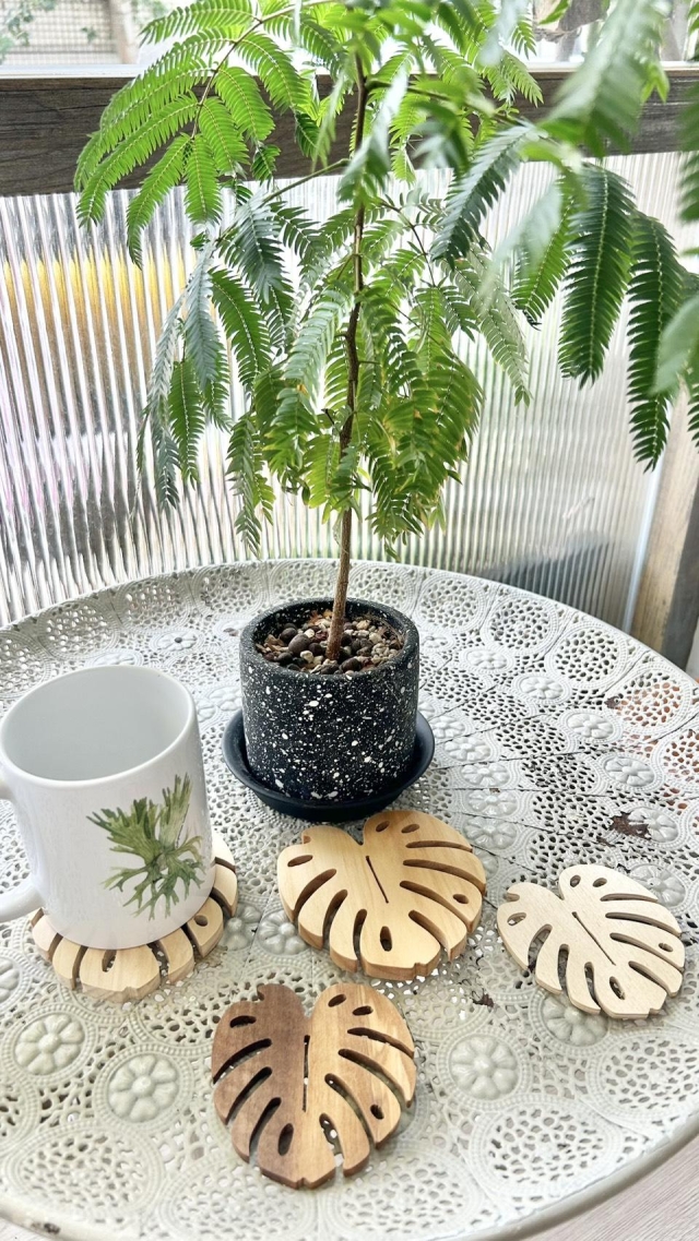 創15-1 龜背芋木質杯墊-2026 臺中市政府青年創業品牌推廣計畫-十大新創之星網路票選