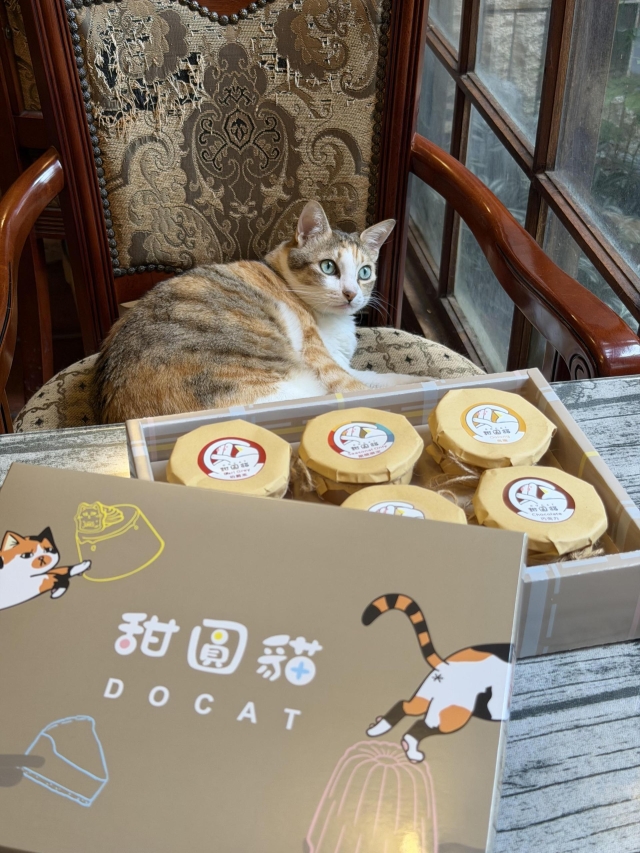 DOCAT · 甜圓貓-2026風城好味名店票選