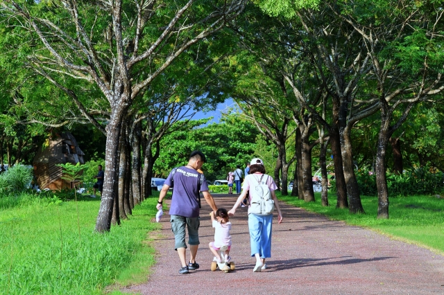 17-走在綠色隧道-9-2026大潮藝文市集系列二~潮州之美攝影比賽人氣獎票選活動