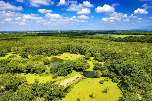 151-俯望四林公園-80-2026大潮藝文市集系列二~潮州之美攝影比賽人氣獎票選活動