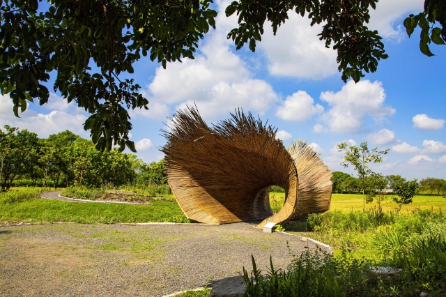 154-四林森林公園造形之美-81-2026大潮藝文市集系列二~潮州之美攝影比賽人氣獎票選活動