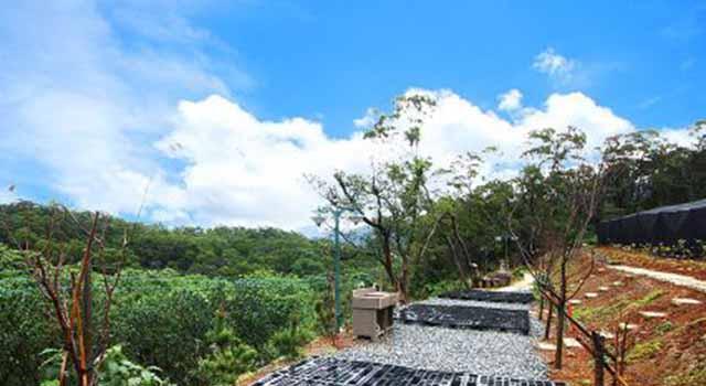 测试-寻找中国108位网络美女